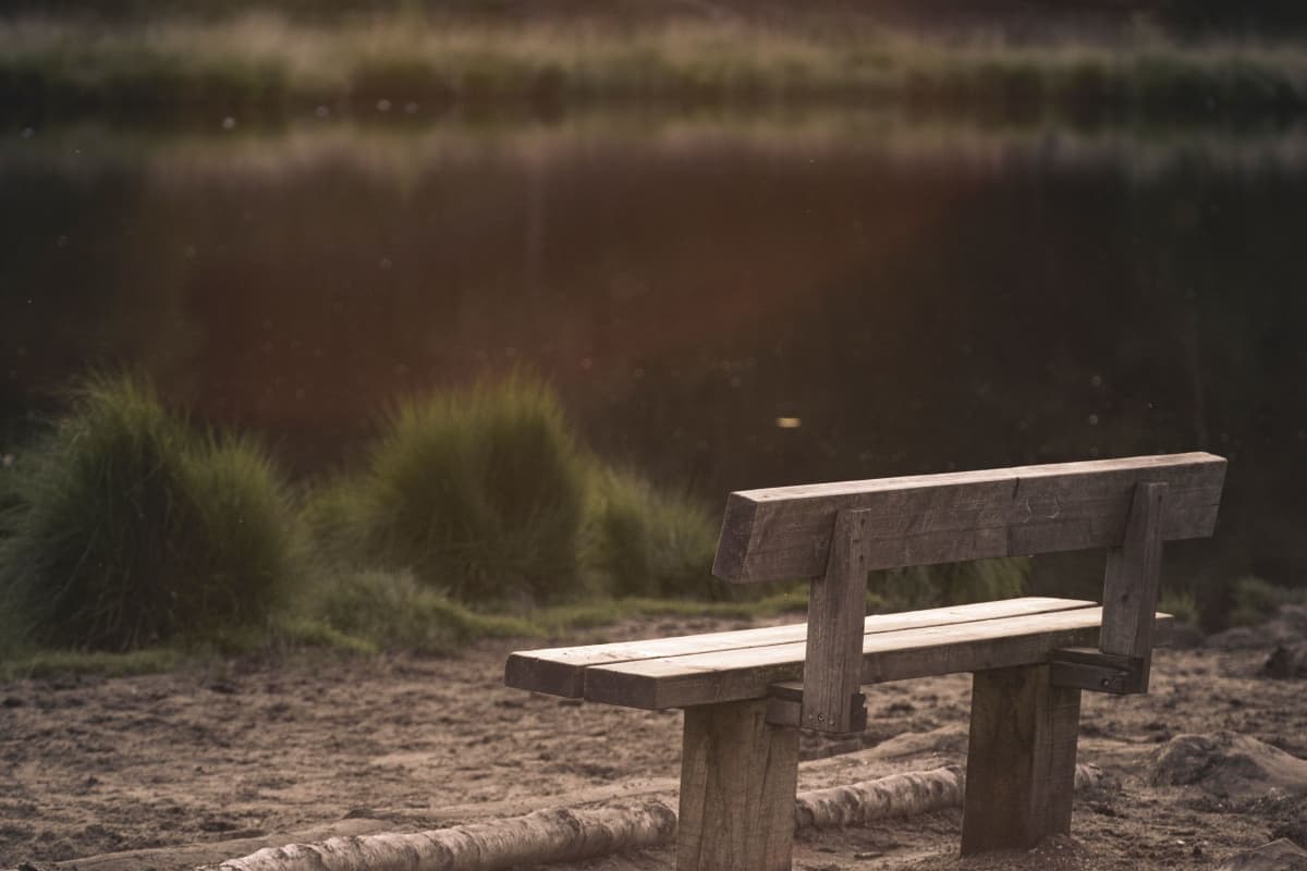 Empty Park Bench